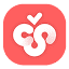 Cherry Studio favicon